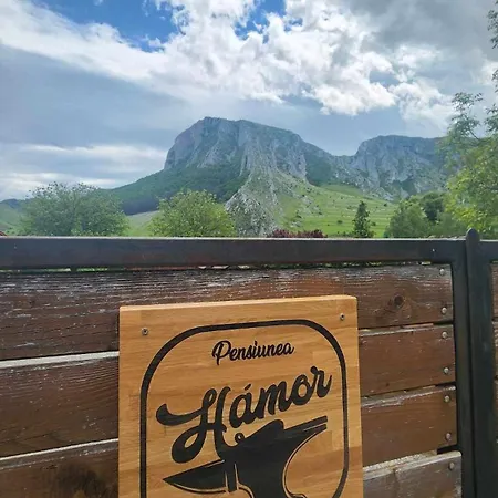 Oda ve Kahvaltı Hamor Panzio